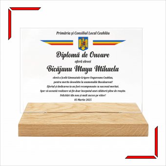 Placheta plexiglas pe suport de lemn - diploma de merit