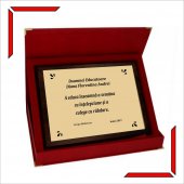 Placheta personalizata - Doamna Educatoare