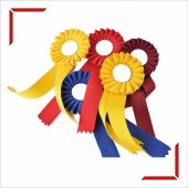 Set 10 Cocarde personalizate